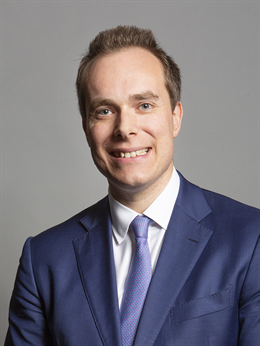 David Johnston Official Portrait