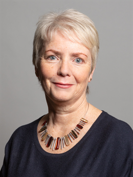 Karin Smyth Official Portrait